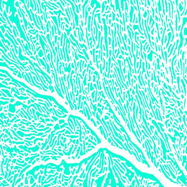 Coralie turquoise Lunch-Servietten 33x33 cm