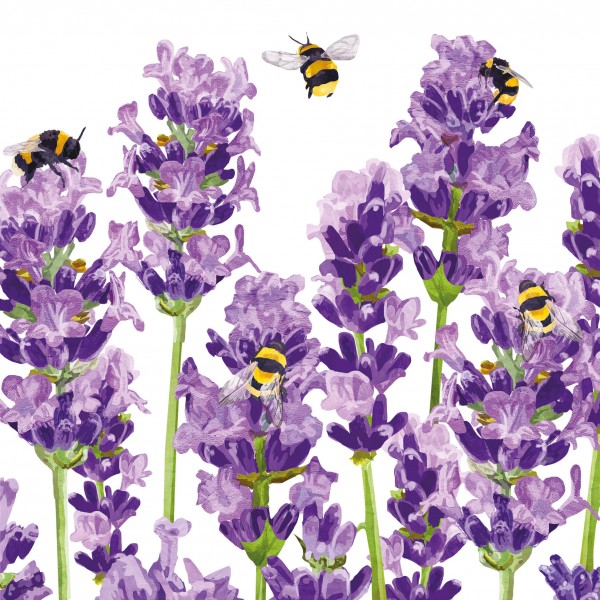 Bees & Lavender Lunch-Servietten 33x33 cm