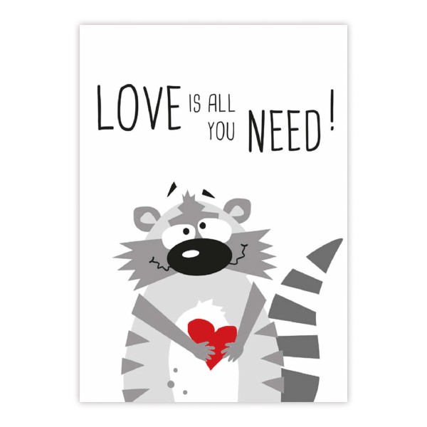 Need Love Racoon Postkarte