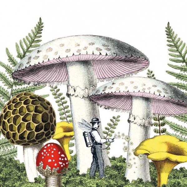 Mushrooms Lunch-Servietten 33x33 cm