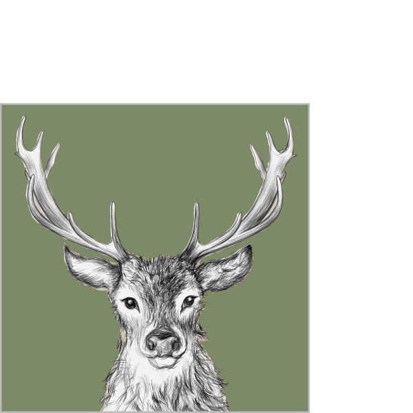 Paul green Cocktail-Servietten 25x25 cm