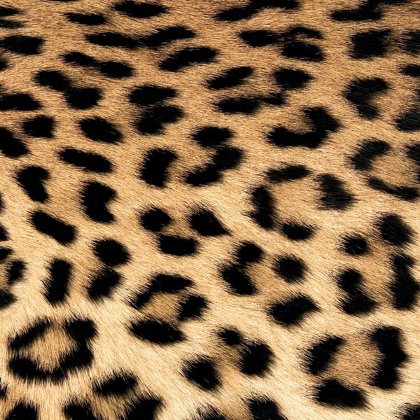 Leopard Couture Lunch-Servietten 33x33 cm