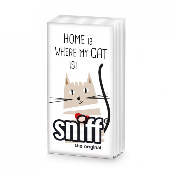 Home Cat Sniff Taschentücher
