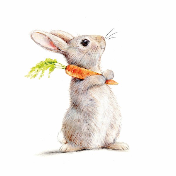 Rabbit & Carrot Lunch-Servietten 33x33
