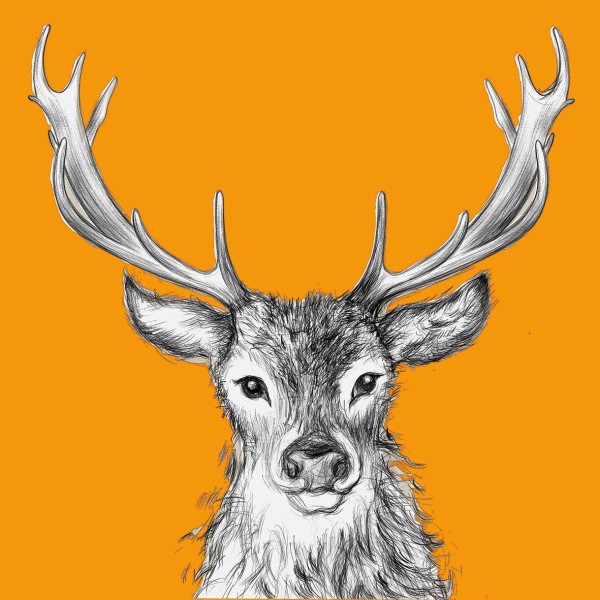 Paul orange Lunch-Servietten 33x33 cm