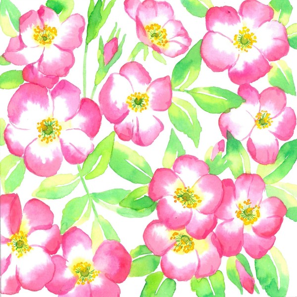 Aubépine Lunch-Servietten 33x33 cm