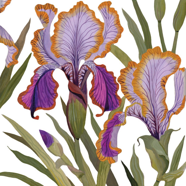 Dominique Lunch-Servietten 33x33 cm