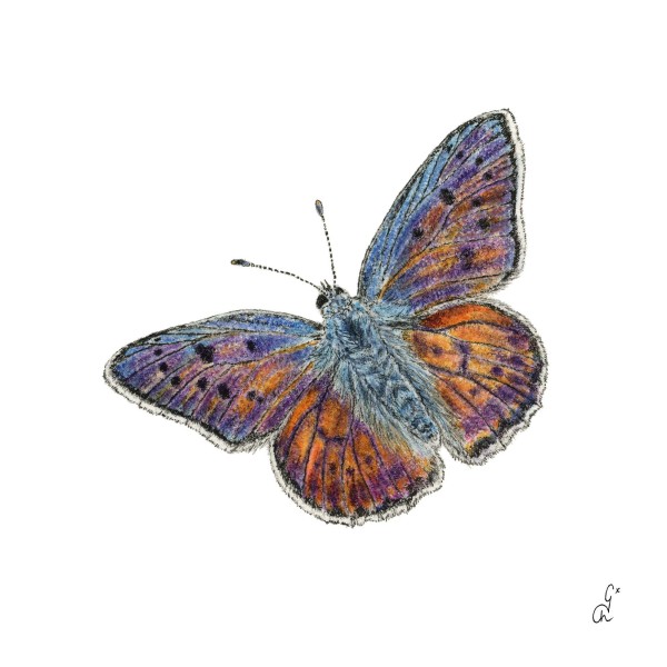 Papillon Cocktail-Servietten 25x25 cm