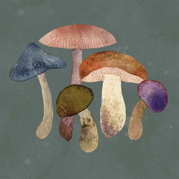 Mushroom Fantasy Lunch-Servietten 33x33 cm