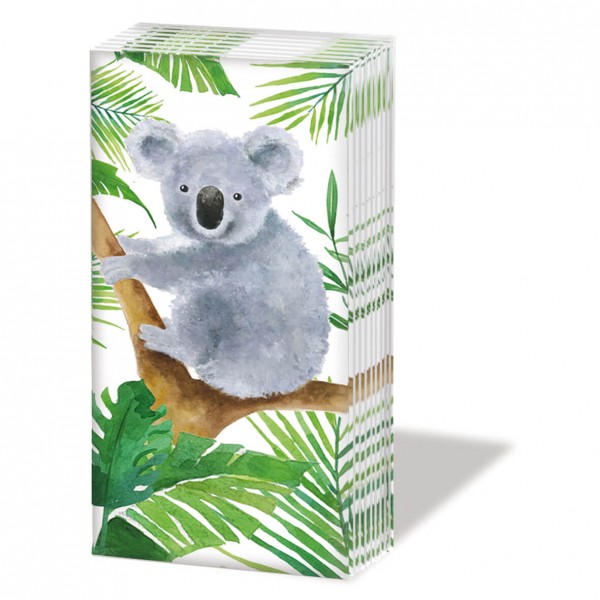 Tropical Koala Bear Sniff Taschentücher