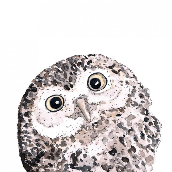 Owl Lunch-Servietten 33x33 cm